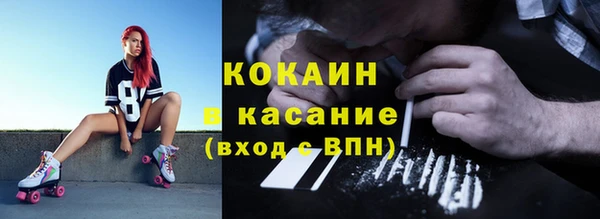 дмт Богородицк