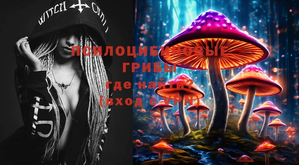 дмт Богородицк