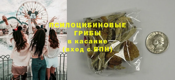 дмт Богородицк