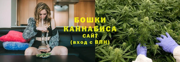 ГАЛЛЮЦИНОГЕННЫЕ ГРИБЫ Верея