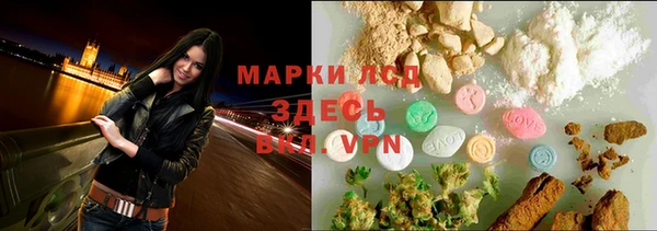 дмт Богородицк