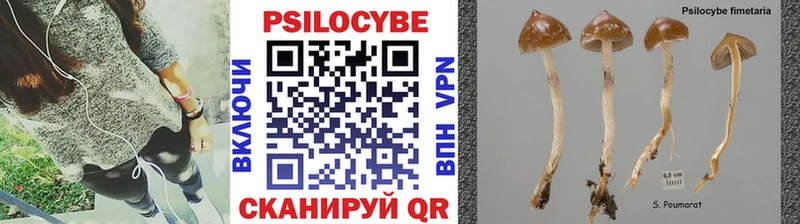 Псилоцибиновые грибы прущие грибы  как найти закладки  Весьегонск 