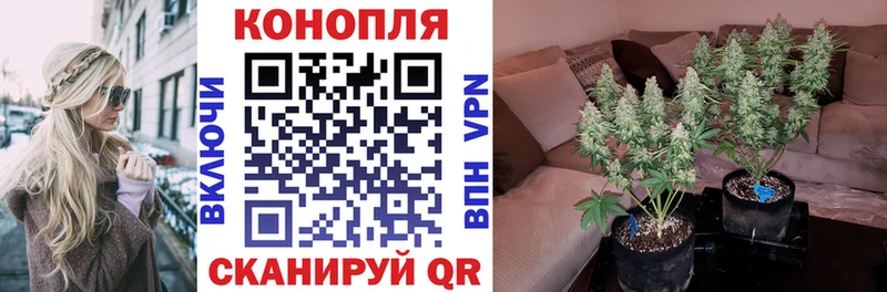 Каннабис план Весьегонск
